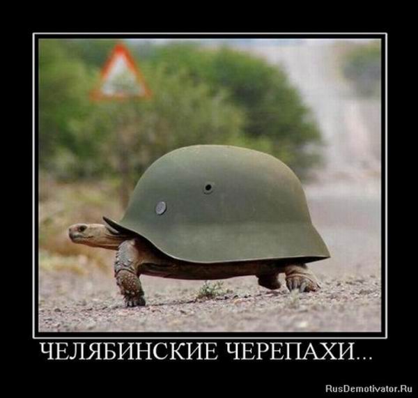 Челябинские черепахи